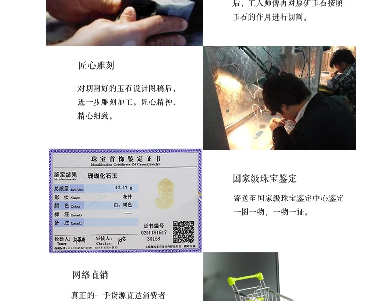 珊瑚玉_18.jpg