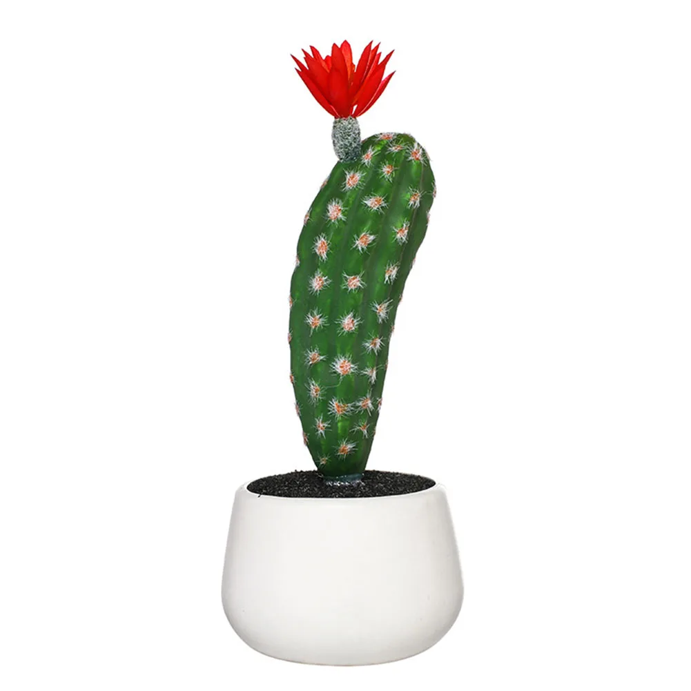Мини Кактусы В Горшках Купить