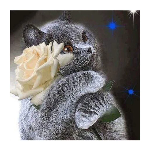 Full drilling Diamond Painting DIY cat and Rose 5D Diamond Embroidery Handmade Cross Stitch Kits