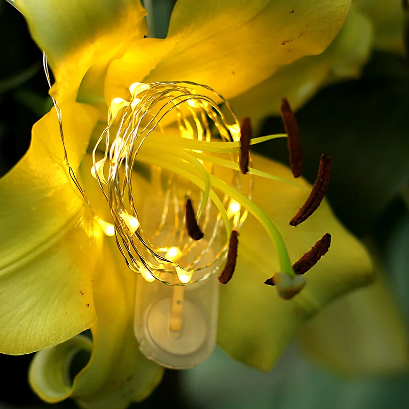

Festival decoration supplies environmental copper lamp festival light 2 meters button battery light string of wholesale