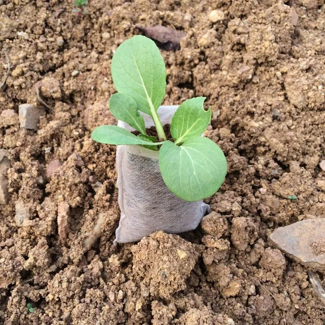 100pcs/bag   Nursery Pots Environmental Protection Nursery Pots Seedling-Raising Garden Supplies
