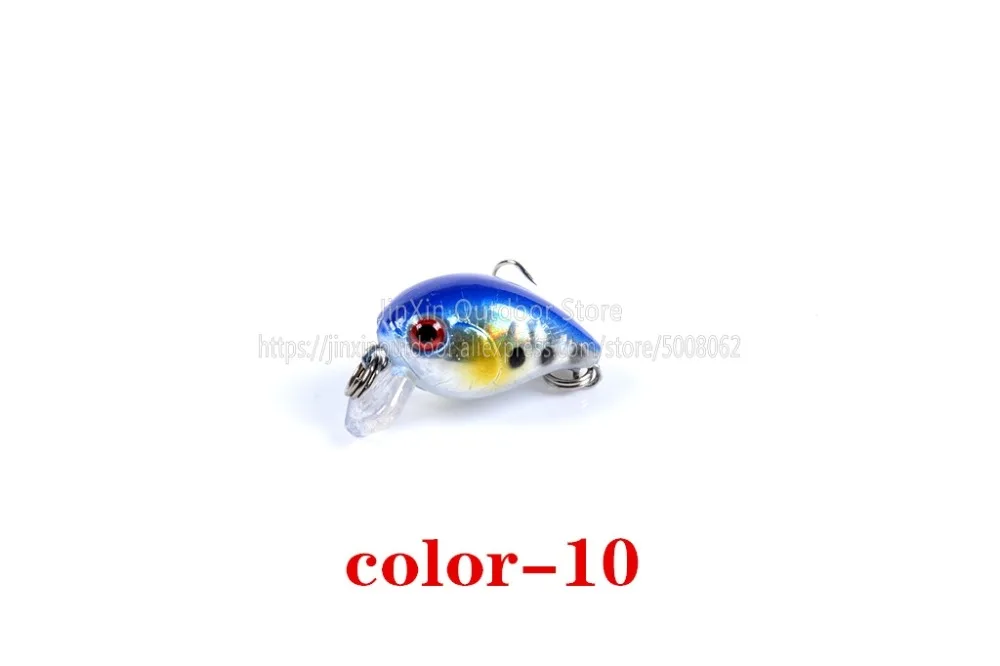 C (10)