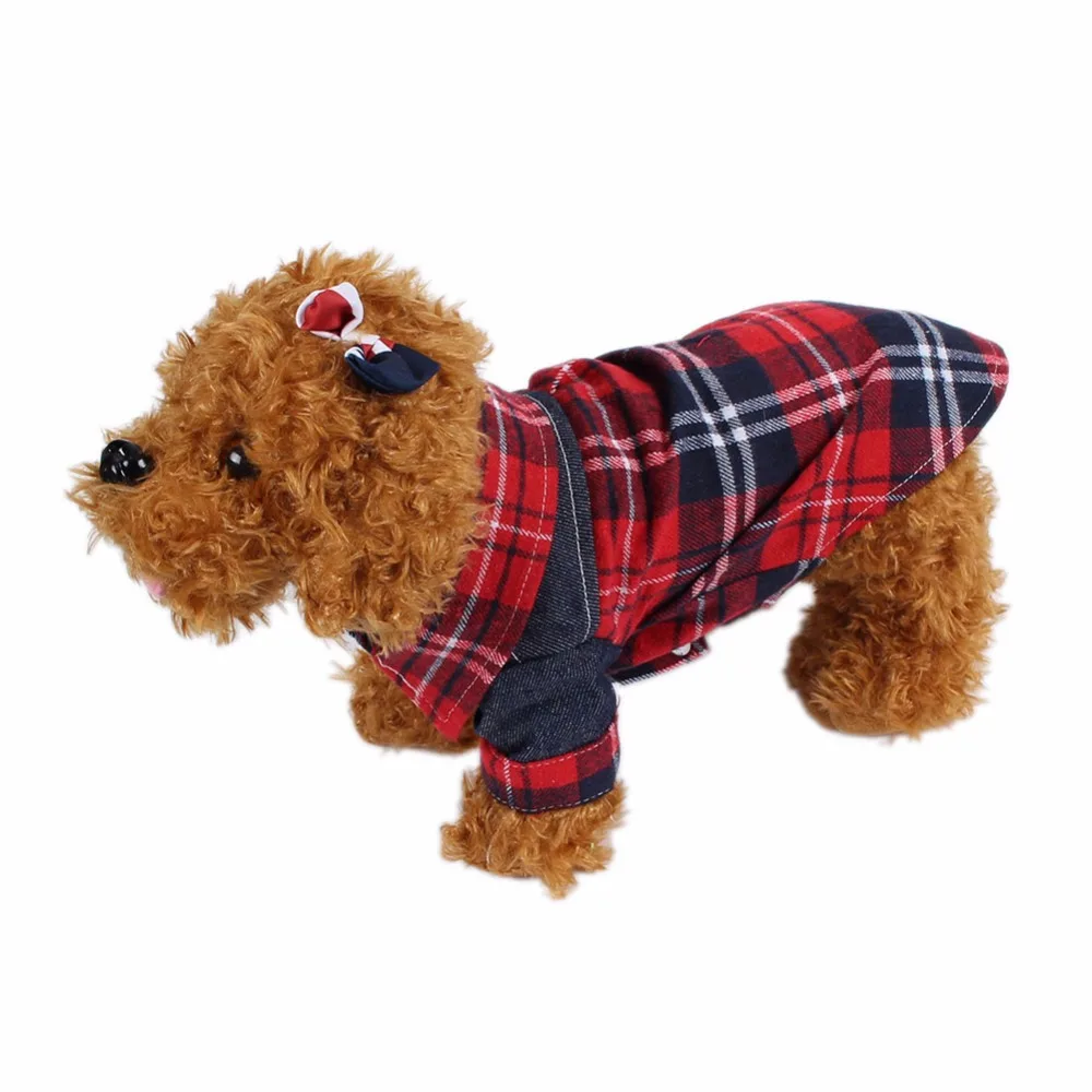 dog clothes (3)