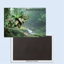 Бромелиады, национальный парк бокаина, тропический лес, Бразилия, магнит на холодильник, туристические сувениры, Креативные украшения для дома 24635