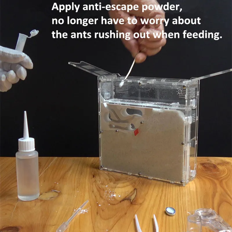 New Ant Workshop Ecological Ant Nest Ant Castle Bow Back Ants Acrylic Sand Nest Sandcastle Home Living Ants (4)