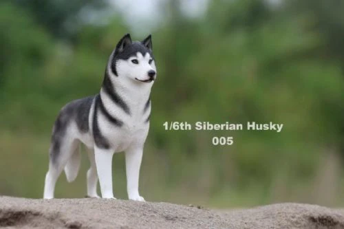 33