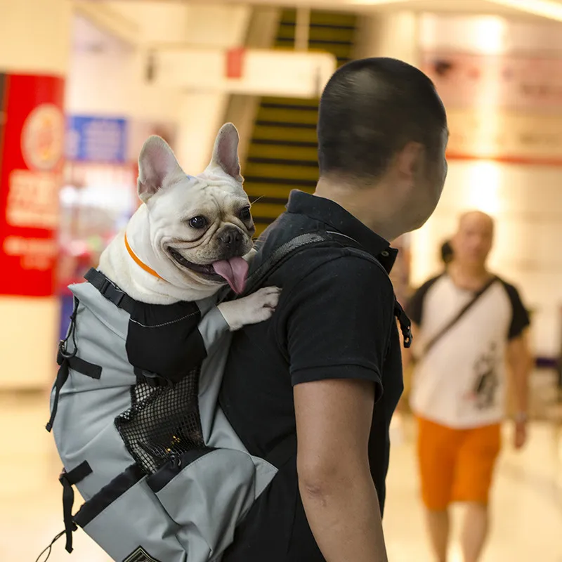 Прямая поставка, дышащая Сумка-переноска для собак, регулируемые дорожные сумки для больших собак, рюкзак для больших собак, золотистый ретривер, бульдог - Цвет: Серебристый