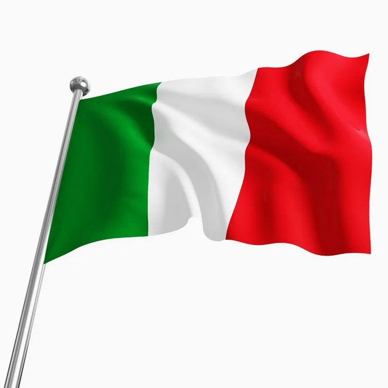 G2PLUS 11M Bandera de Italia Guirnalda Bandera con 40 Banderas de Italia Bandera de Italia Banderas Europeas 14 x 21 cm para Decoraciones de Bares de Jardín. 