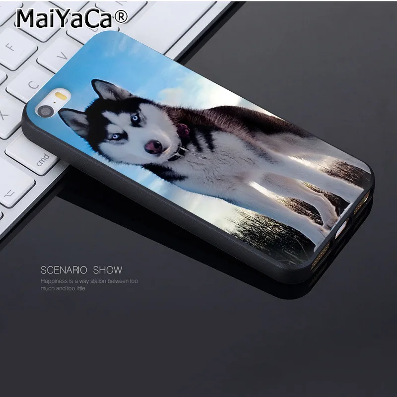 Чехол для iphone 12 11 Pro 8 7 6 6S Plus X 5 XS XR XSMAX|Бамперы| |