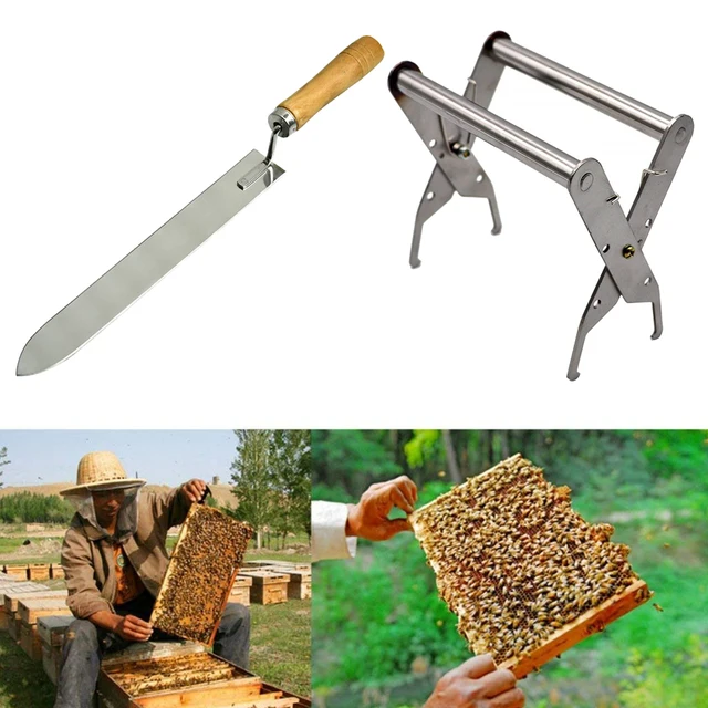Dlkklb 1 Készlet Méhész Eszközök Kaparó Kés Méh Kaptár Keret Tartó Apikultúra Gyakorlati Take Méz Rozsdamentes Acél Felszerelés