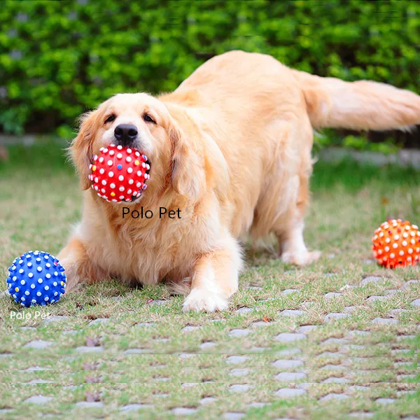 送料無料 1 個ペット犬子犬猫ペットハリネズミボール演奏おもちゃホットワールドワイド Toy Soccer Ball Toy Ballball 4 Aliexpress