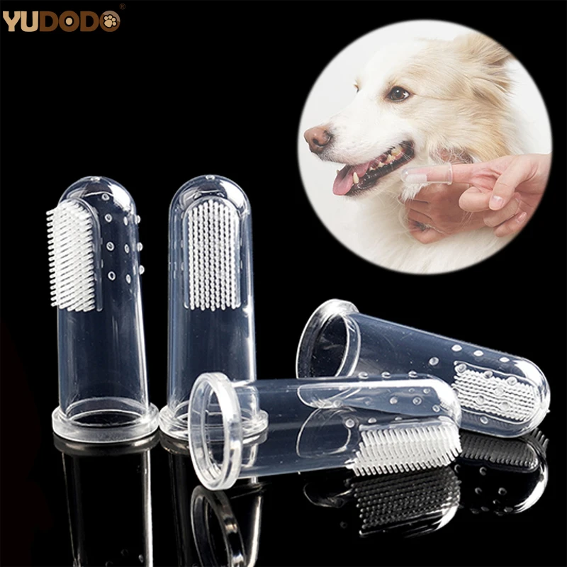 best toothbrush for chihuahua