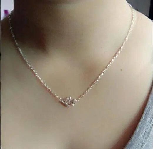XL0487