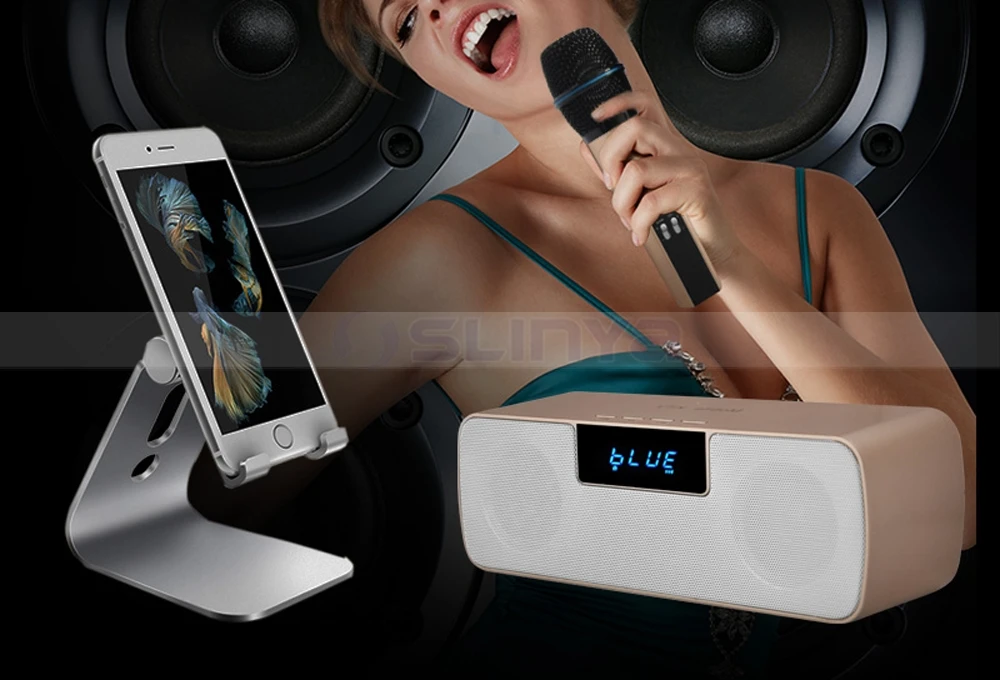 Speaker with wireless microphone 8040170721 (6)