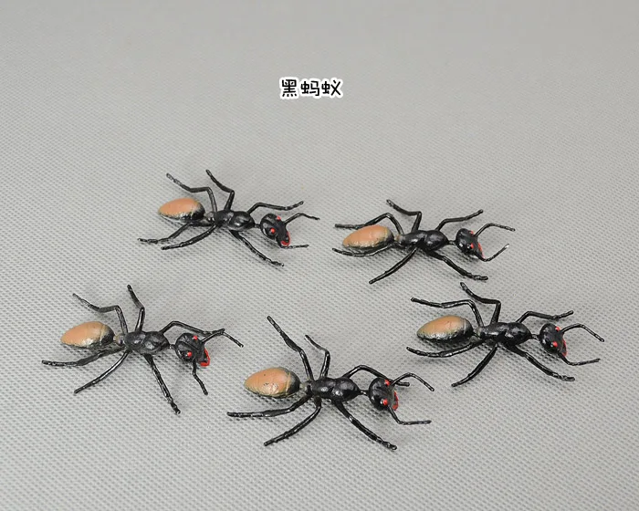 FREE SHIPPING Model toy tricky toy ant sand table ...