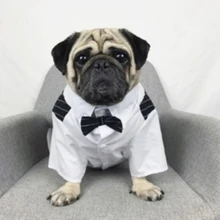 Bigeyedog, мопс, французская одежда для бульдога, мужской костюм для собак, свадебная одежда для собак, смокинг, одежда для домашних животных, праздничный костюм, пальто