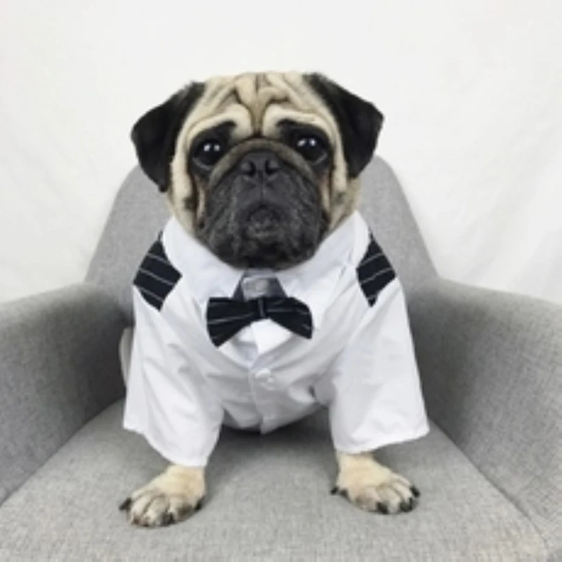 Bigeyedog мопса французская одежда для бульдога мужской костюм собаки свадебная