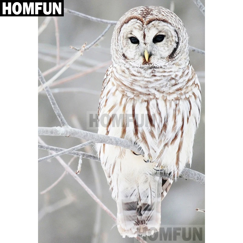 

HOMFUN Full Square/Round Drill 5D DIY Diamond Painting " Animal owl" Embroidery Cross Stitch 5D Home Decor Gift A01917