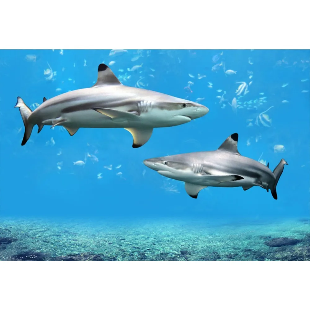 Laeacco Ocean Animal Sharks Dolphin Portrait Scene Photography Backgrounds Wall Baby Newborn Photographic Studio Photo Backdrops Laeacco Ocean Animal Sharks Dolphin Portrait Scene Photography Backgrounds Wall Baby Newborn Photographic Studio Photo Backdrops