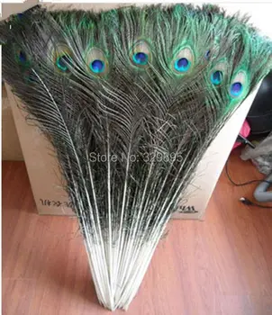 

Wholesale 50pcs 70-80 cm / 80-90 cm Natural Peacock Tail Plume beautiful peacock feathers eyes for DIY clothing show decoration