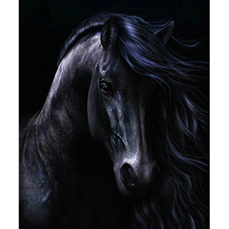 Diy Алмазная картина Черная лошадь шитье ручной работы художественная вышивка СТРАЗА вышивка крестиком украшение 30X40 см(12X16 дюймов - Цвет: As shown