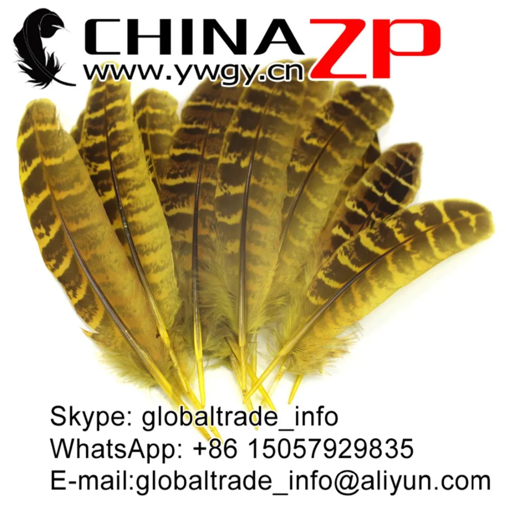 Yellow Ringneck Hen Pheasant Round Quill Wing Feathers (2)