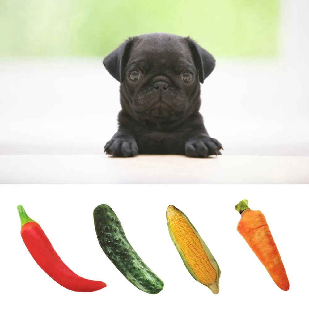 New Pet Chew Squeaker Squeaky Plush Sound  Vegetables Feeding Dog Toys Suitable For Pet Bite Play