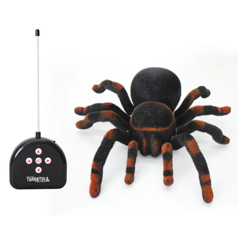 animal planet remote control spider