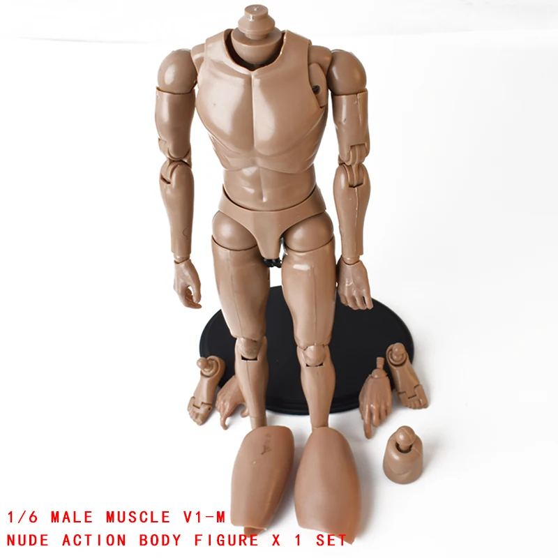 

V-1M Model 1/6 Scale Narrow shoulder Nude Muscle Body V1-M Male Action Figure Doll Toys Fit 12 Inch HT Hot Toys Head Sculpt