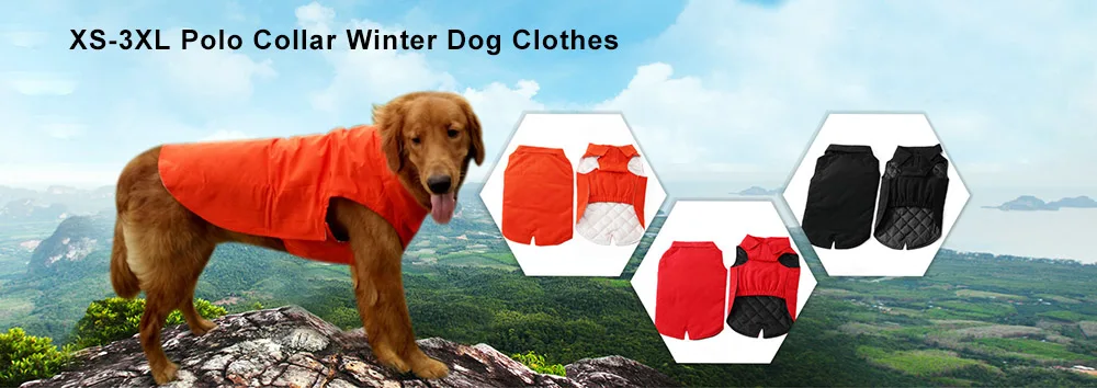 Polo collar winter dog clothes