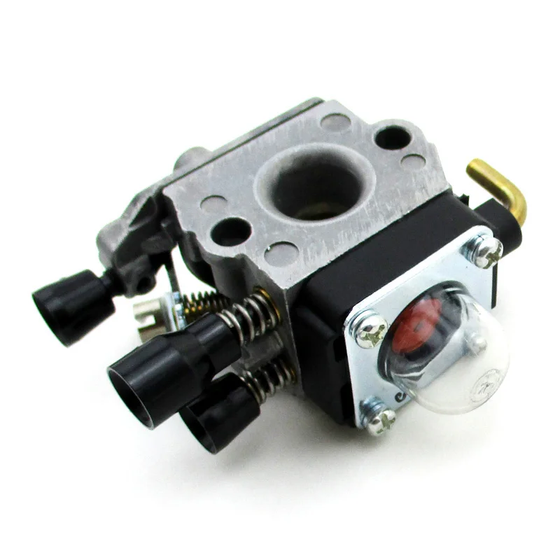 FS55  carb (3)
