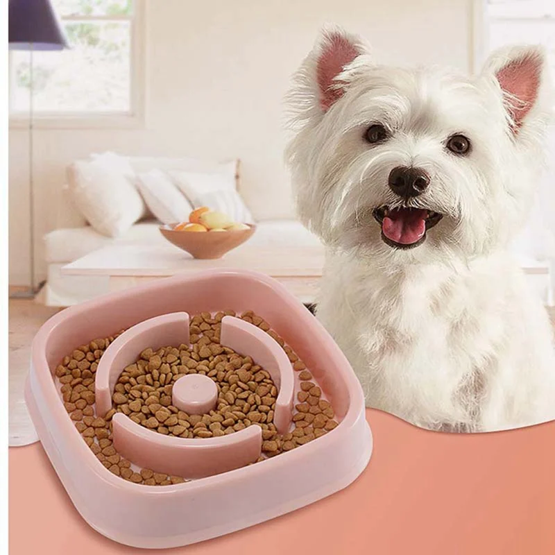 Pet Maze Bowl for Developing Healthy Diet Dogs Plastic Food Slowing