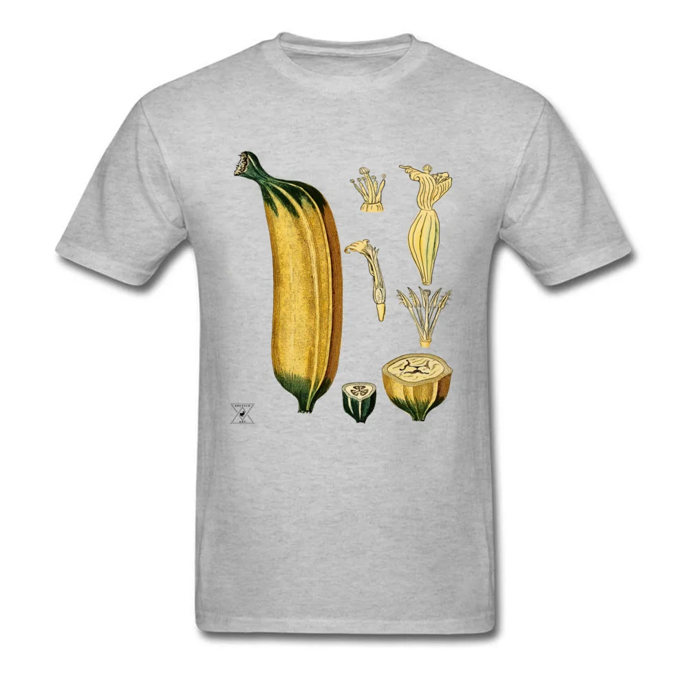 Cotton Fabric Men Short Sleeve Banana Plant Botanical Tropical Fruit T-shirts Slim Fit Tees 2018 Discount Normal O-Neck T Shirts Banana Plant Botanical Tropical Fruit grey