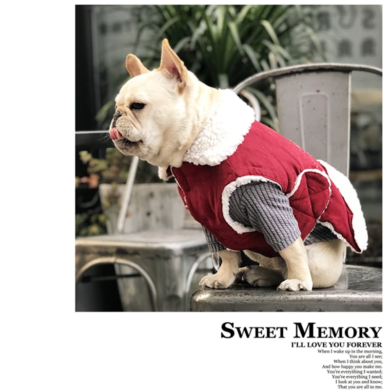 dog clothes coat winter (5)