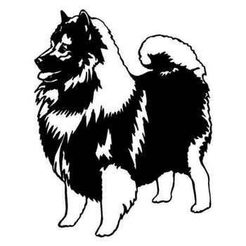 

13.1*16.9CM Keeshond Dog Car Stickers Lovely Vinyl Decal Car Styling Accessories Decoration Black/Silver S1-0608