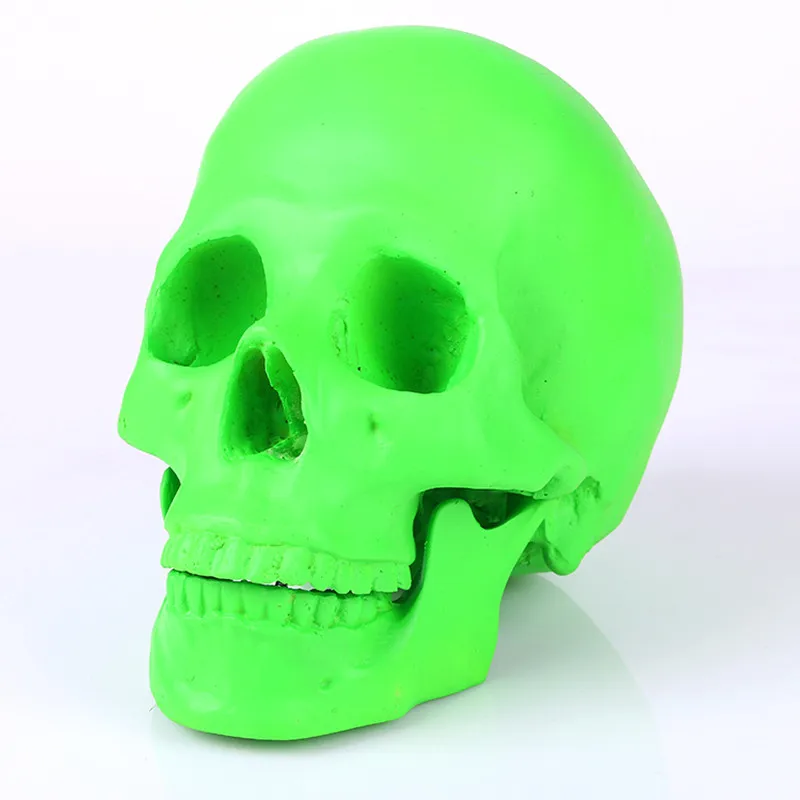 3049857844_509990420