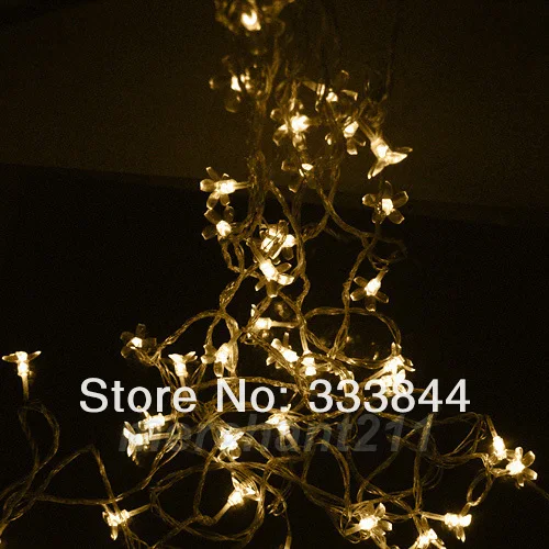 759978051_172.jpg