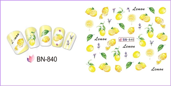 BN-840