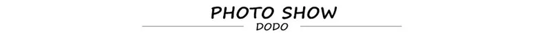 DPhoto Show