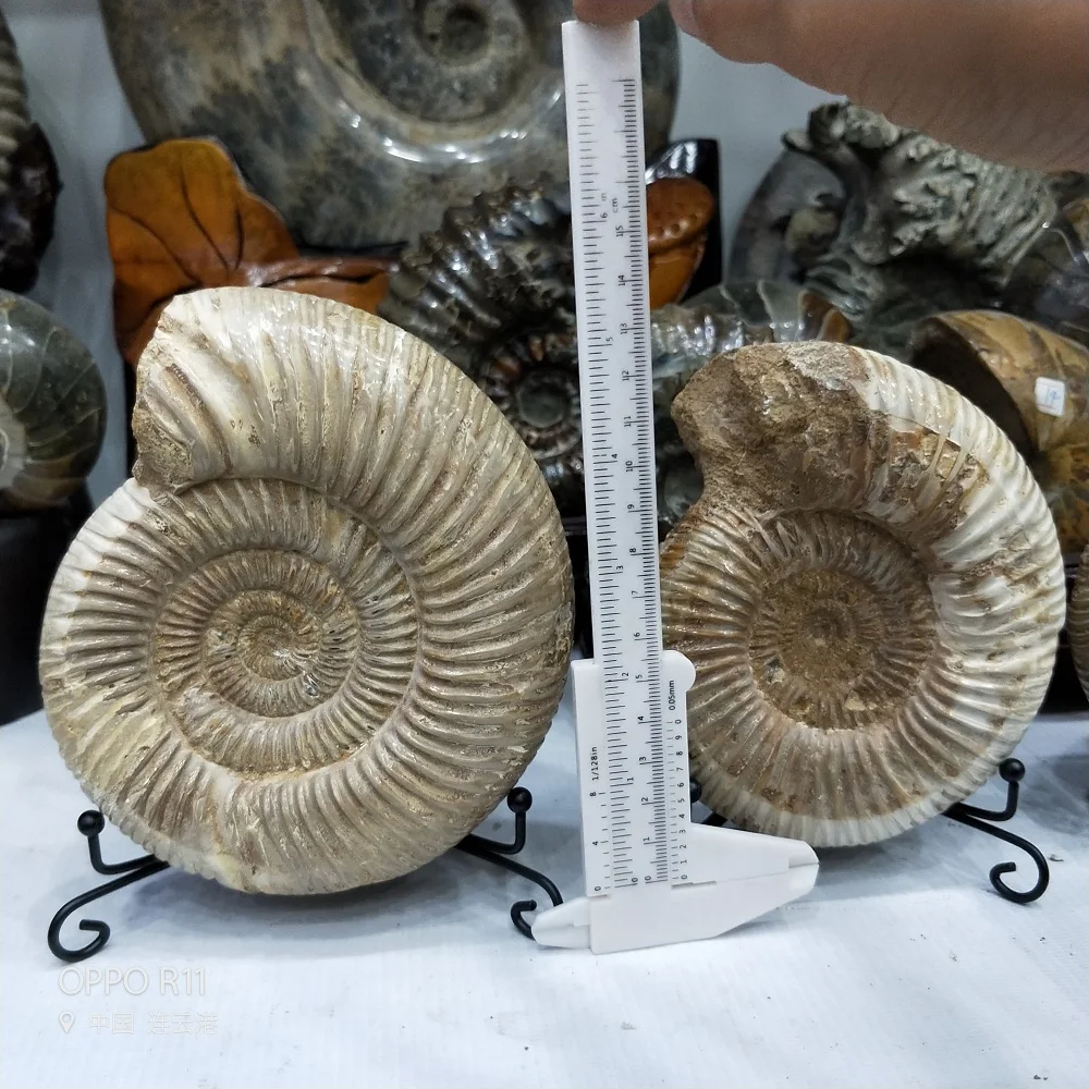 IMG20181108145910
