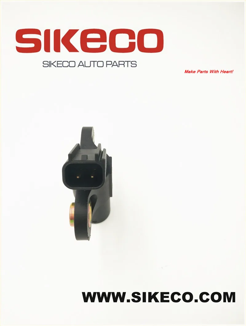 CSS318 (2)