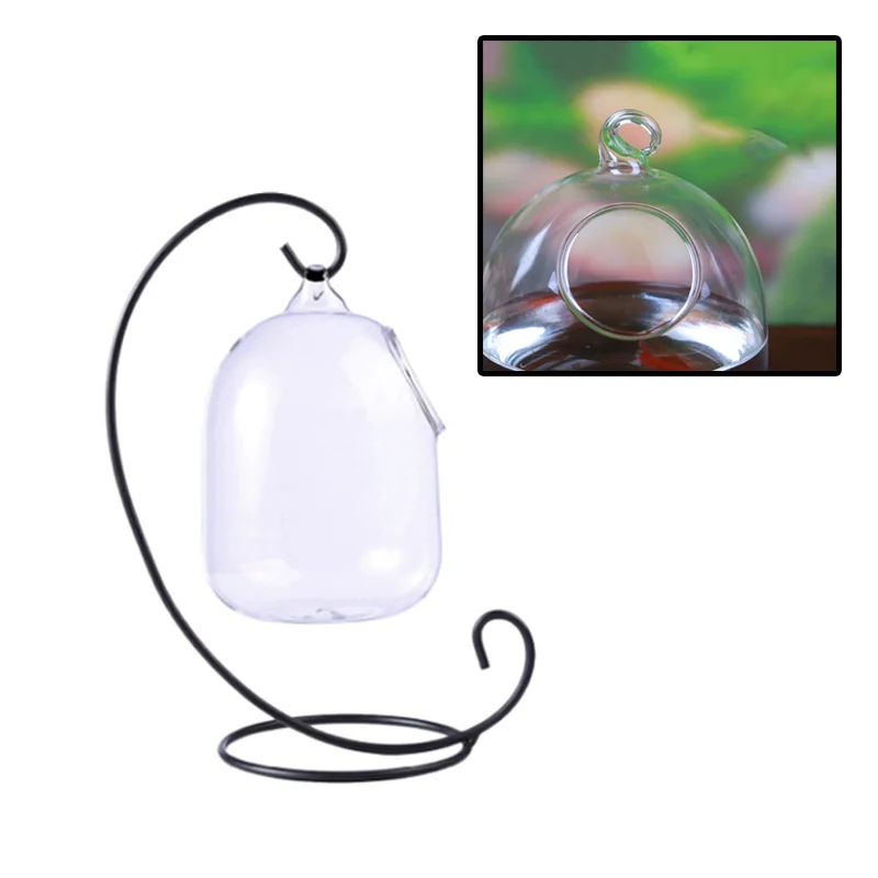 Hanging Fish Tank Creative Fish Vase Glass Transparent Goldfish Bowl for Home Decoration with Bracket