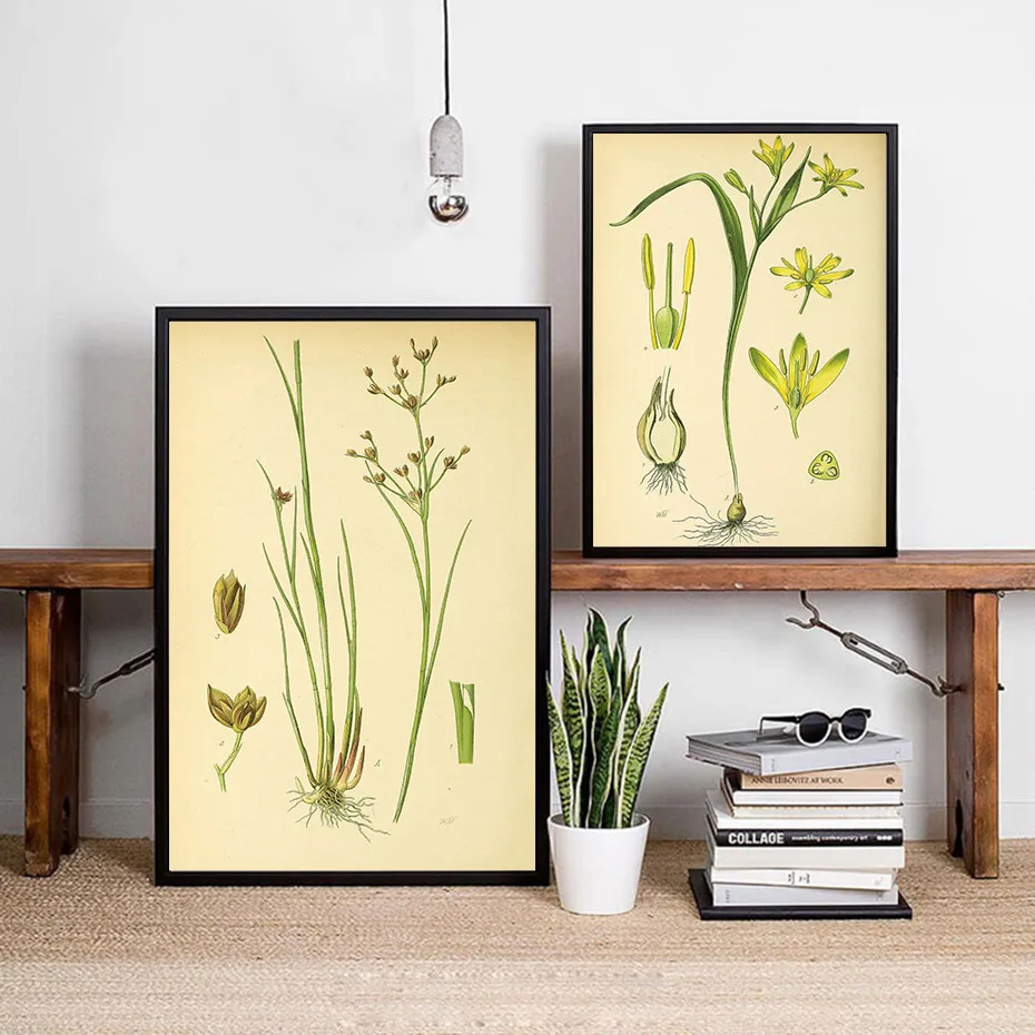 Modern-wall-art-picture-canvas-poster-and-print-Vintage-Botanical-illustrations-floral-murals-living-room-decor (3)