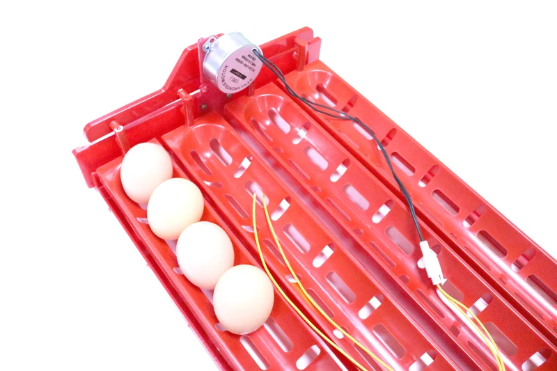 1 Sets New 32-40 Eggs Incubator Incubator Accessories Turn The Eggs Tray Duck Goose Poultry Birds Motor Of 110V/220V/DC12V