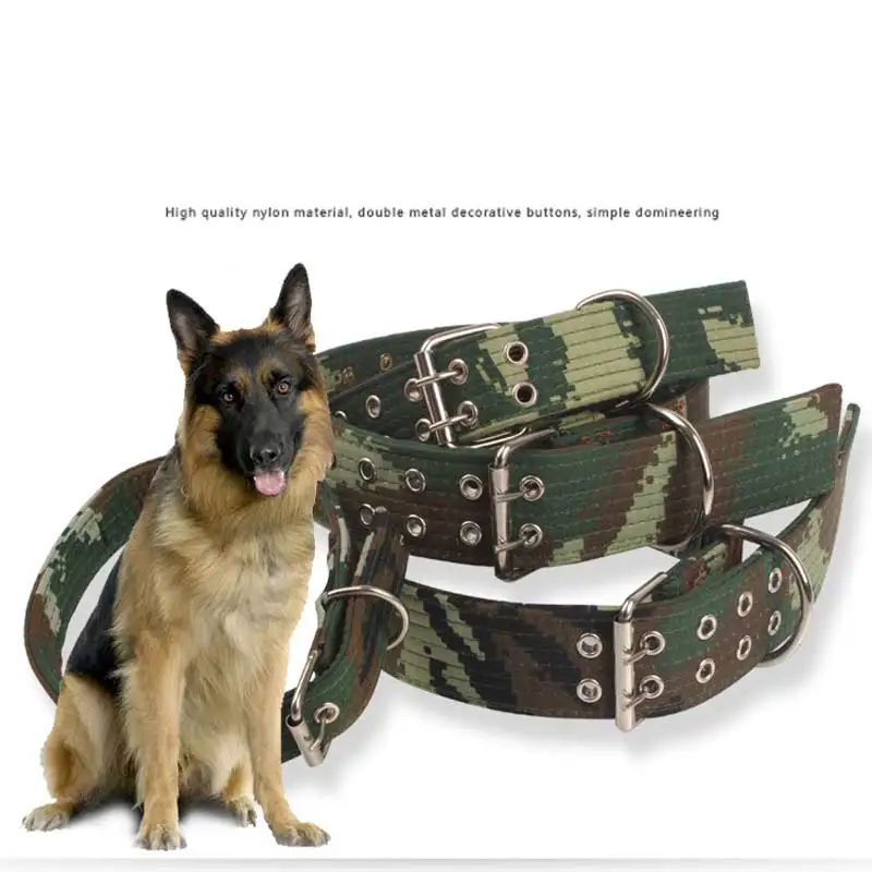dog collar large