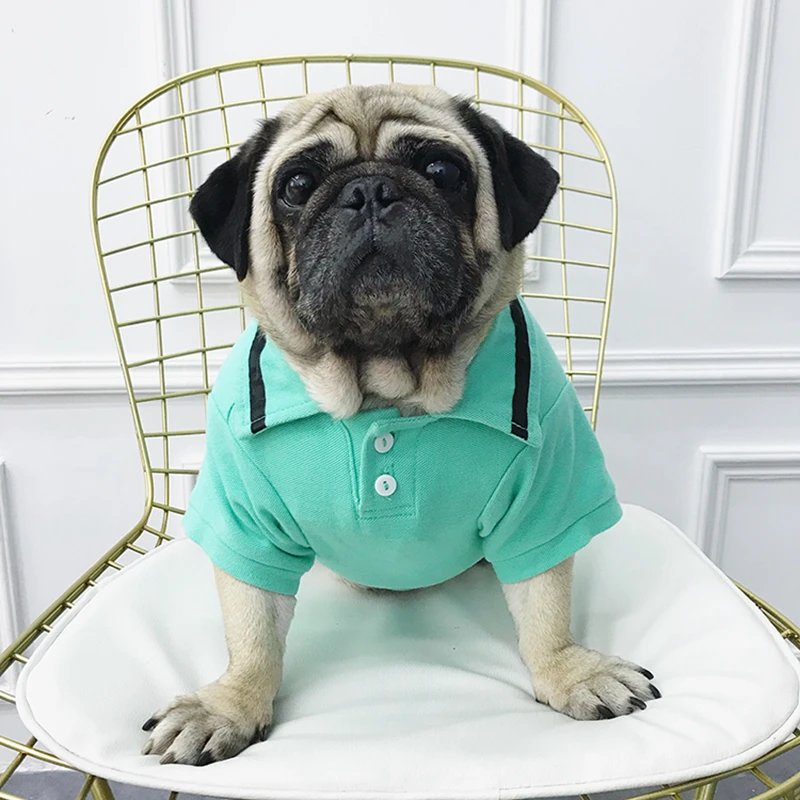 pug polo shirt