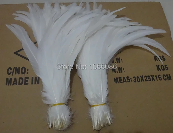 

EMS Free Shipping 500pcs/lot coque feather White chicken feather 35-40cm 14-16 inches rooster tail feather