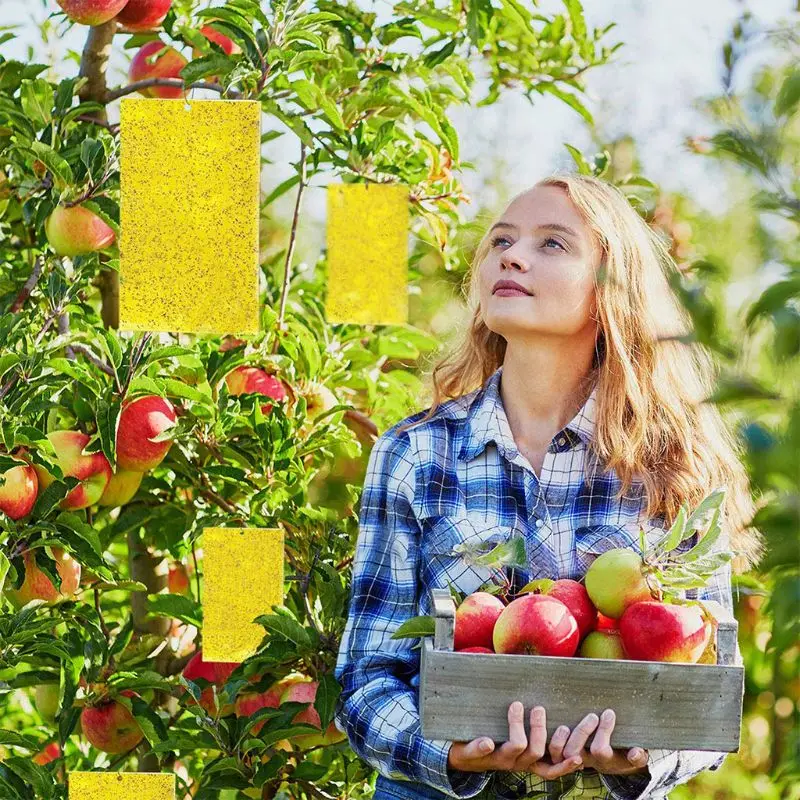 30 упаковок двухсторонних желтых липких ловушек для летающих растений насекомых(10x4 дюйма, в комплекте 30 шт. твист галстуков