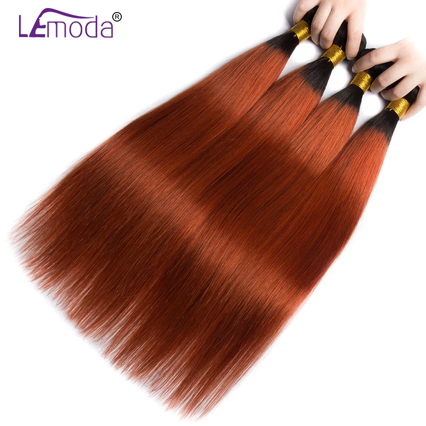 lemoda850(2)