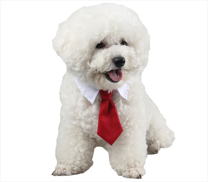 Red dog neck tie